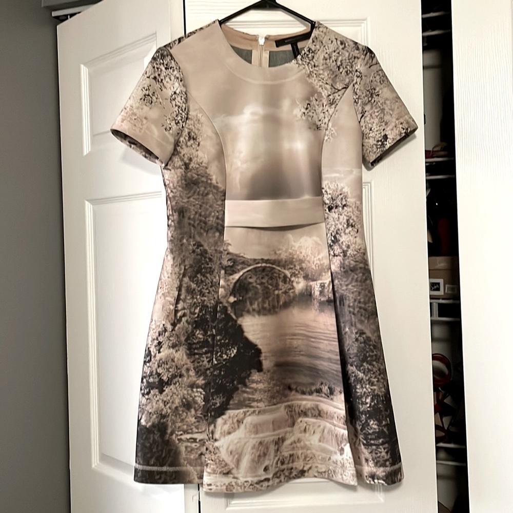 Bcbgmaxazria brinley dress